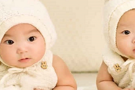 2024年2月份的龙宝宝取名