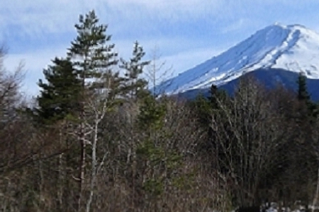 Ů100ȫ
