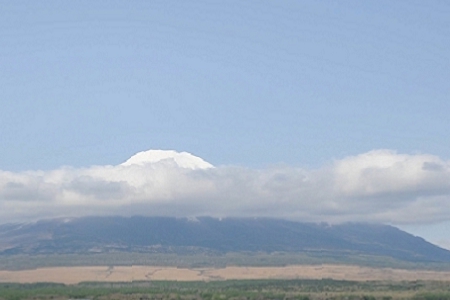 Ů100