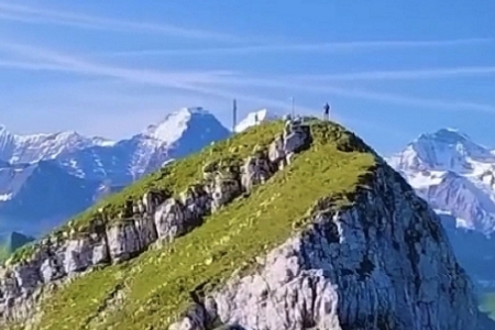 ۤŮȡ100ִȫ