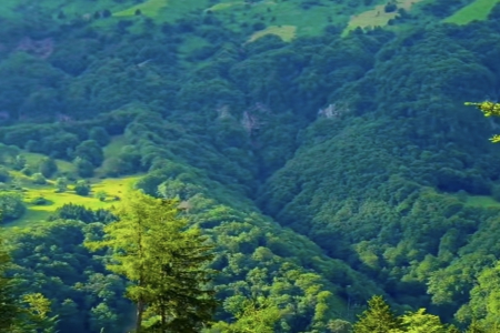 ջŮ100