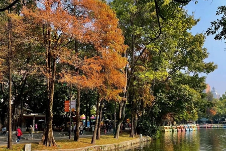 2026年下载公司在线起名 2026年下载公司在线起名