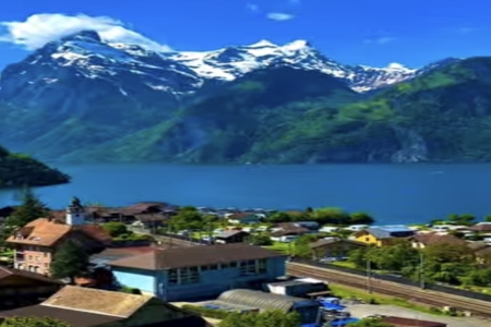 穿越火线游戏成员统一名字 穿越火线游戏成员统一名字