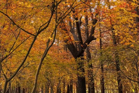 2026年公司起名实用大全 2026年公司起名实用大全