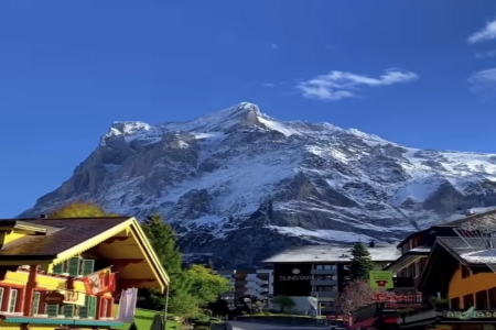 ɽ����·�����ж�����������