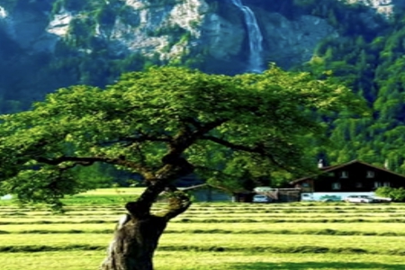 服装公司名字四个字 服装公司名字四个字