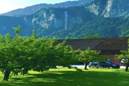 ������ѯ���޹�˾����