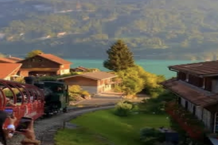 �������ô����