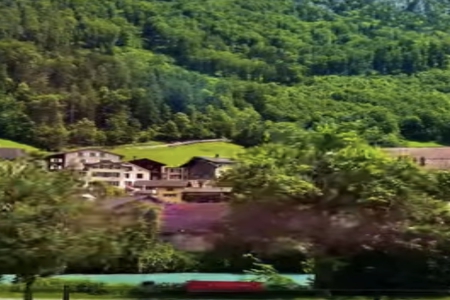 ��ӱ����ô����