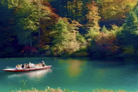 ����Ů������������