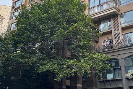 黑色信标40岁稳重大气的网名