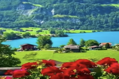 伍姓的女宝宝取什么100分名字好