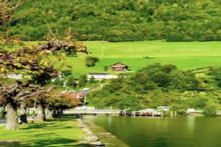 ��������ô����