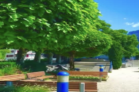 ��������ô����