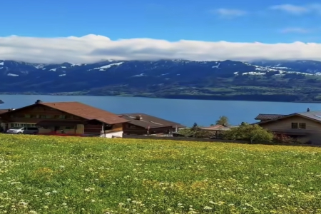 ���ս����к�ȡ��