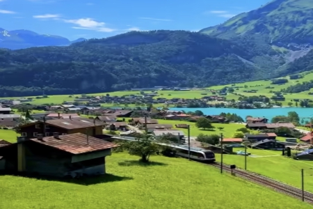 ��������ô����