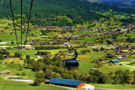 ��������ô����