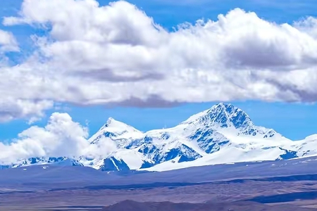 2026��Ԣ�⹫˾��չ�õ�����