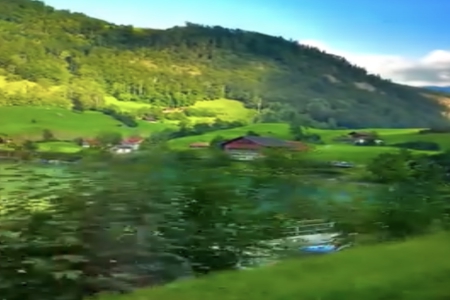 ������ó�׹�˾����