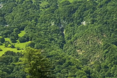 �������ִ�ȫ�к�����