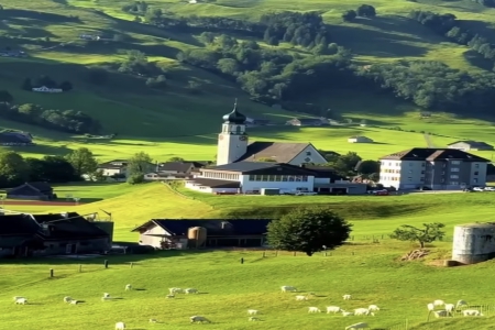 ��������ô����