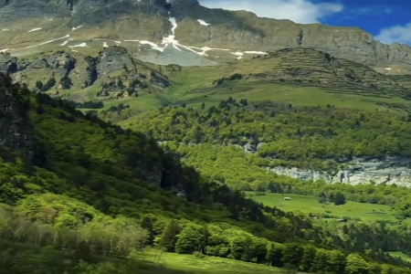 ��������ô����