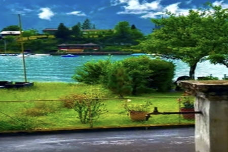 �б�������������