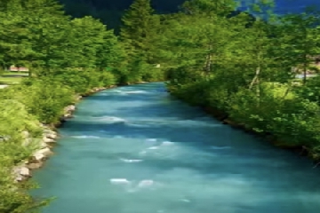 ��������ô����,����������Ԣ�����