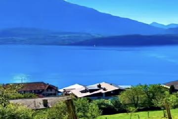 ��������ô����,����������Ԣ�����