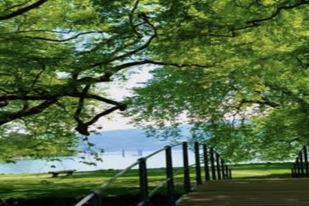 带航字怎么起名